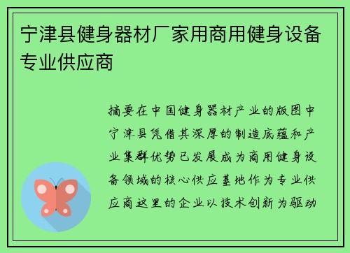 宁津县健身器材厂家用商用健身设备专业供应商